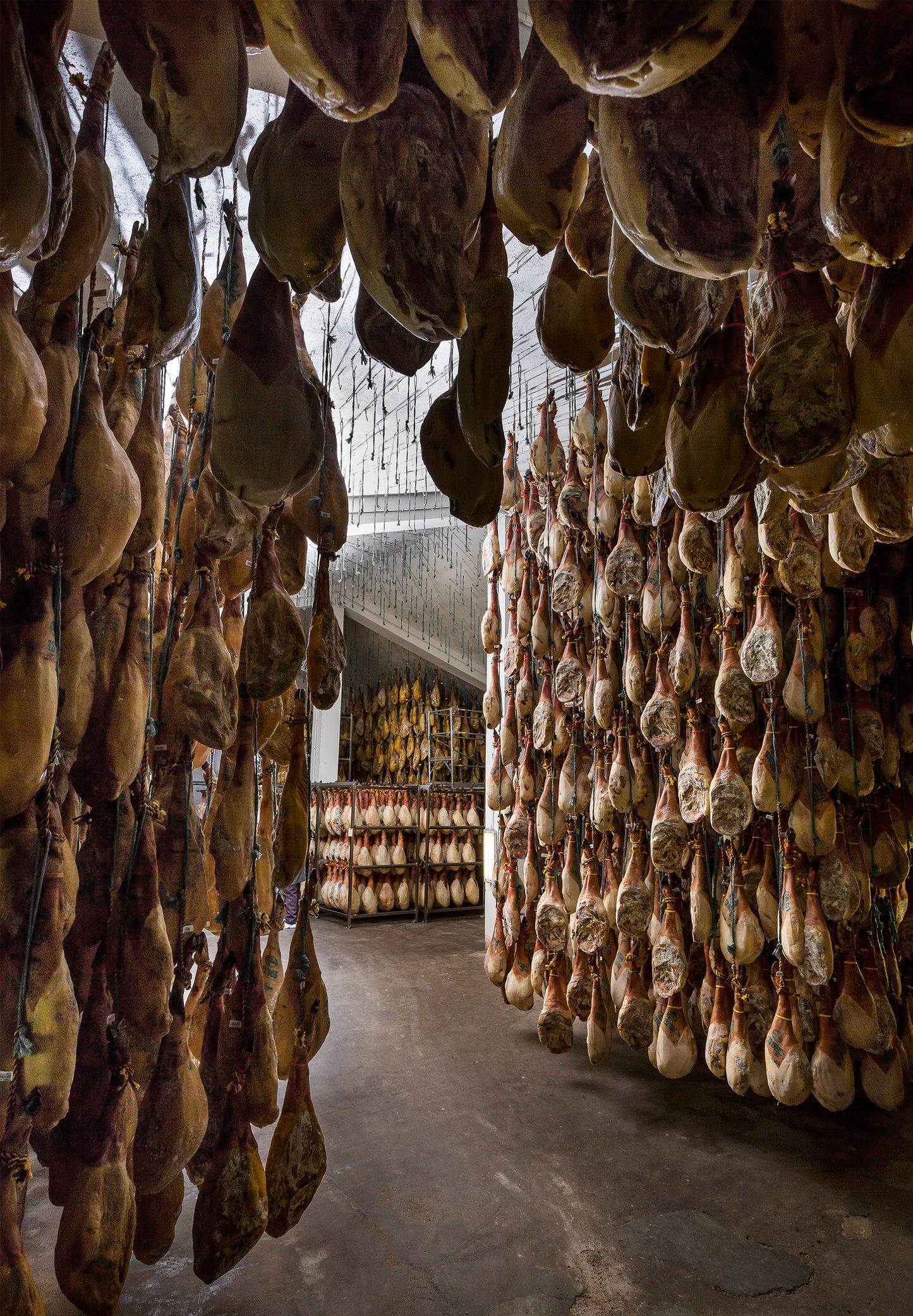 Jamón Ibérico (Whole Back leg) 伊比利亞黑毛豬 原隻火腿 (7000g - 8000g 後腿) 1Set/Box送火腿架和刀具套裝