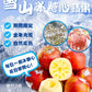 Snowy Mountain Ice Candy Apple 雪山冰糖心蘋果