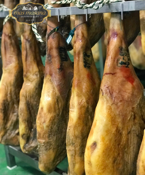 Jamón Ibérico (Whole Back leg) 伊比利亞黑毛豬 原隻火腿 (7000g - 8000g 後腿) 1Set/Box送火腿架和刀具套裝